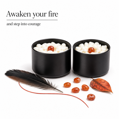 Wax Melt Echoes of Nirvana